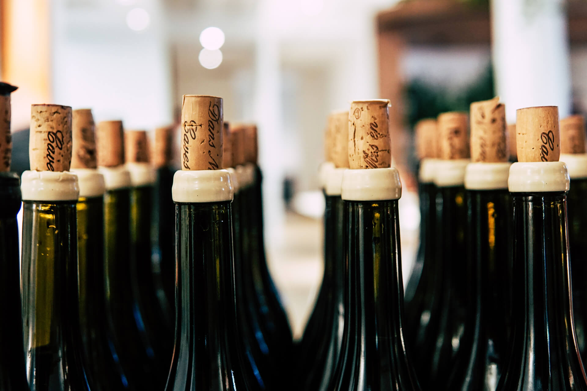 AMARONE DELLA VALPOLICELLA