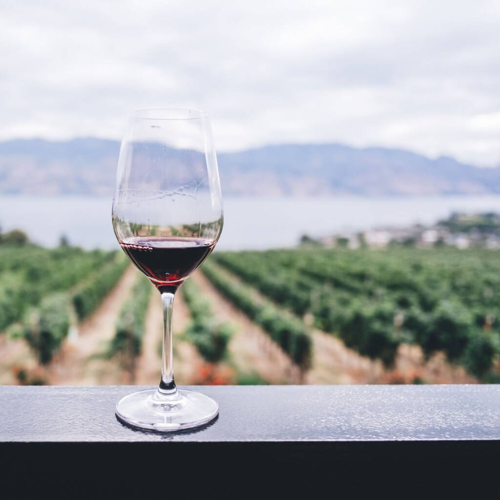 Vineyards